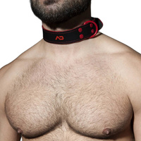 Нашийник Fetish Leather Collar Red Addicted