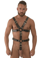 Master Harness M