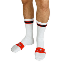 Шкарпетки Exhibit PUP